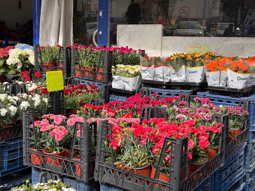 An outdoor display of potted flowers arranged in black plastic crates, featuring bright pink and red carnations with ruffled petals and green foliage, alongside white, yellow, and orange blooms in whi