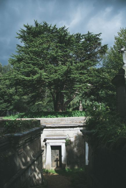 There is no image of flowers or floral arrangements in the provided image; it depicts a large, mature green tree with dense foliage situated behind a stone structure, possibly part of a historic cemet